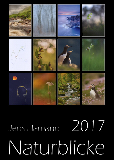 2017_Jens_Hamann_Kalender_co11