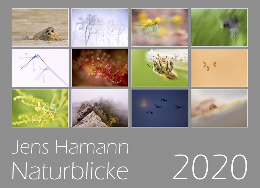 2020_Jens-Hamann_Kalender (1)_exp