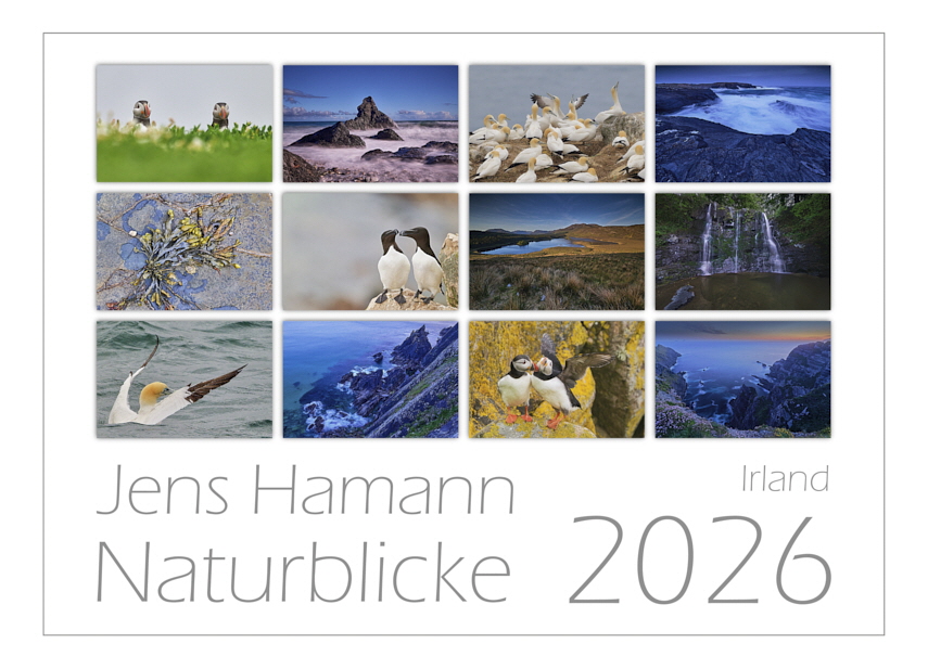 2026_Jens_Hamann_Titelseite